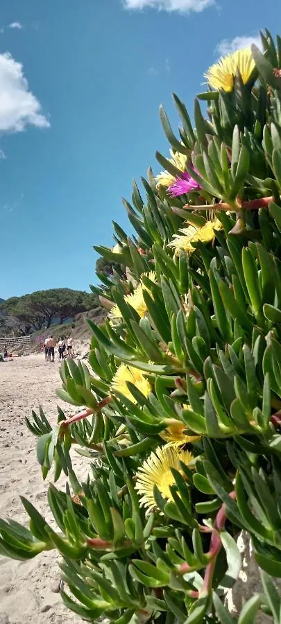 Holiday home Riccio Di Mare Villa Lacona